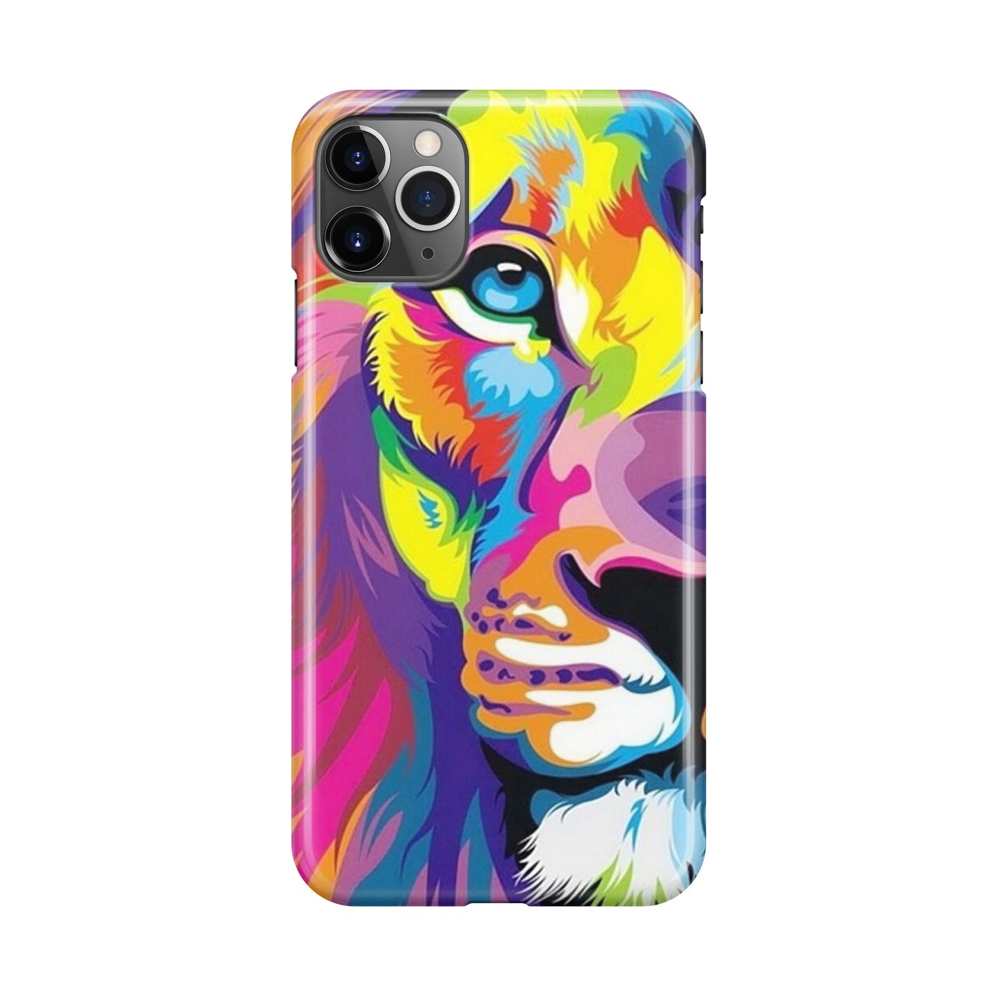 Colorful Lion iPhone 11 Pro Case