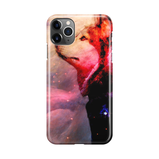 Dog Universe iPhone 11 Pro Case