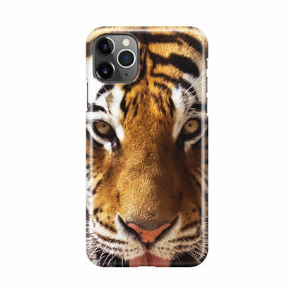 Tiger Eye iPhone 11 Pro Case