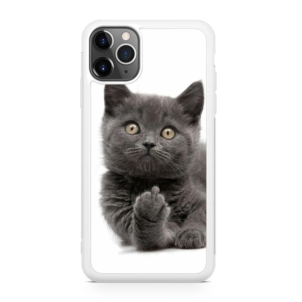 Finger British Shorthair Cat iPhone 11 Pro Case