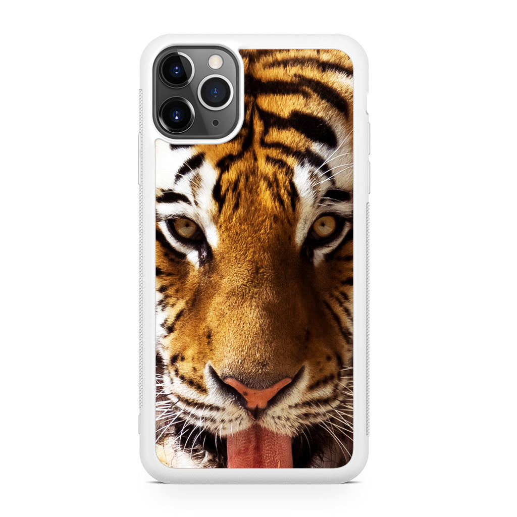 Tiger Eye iPhone 11 Pro Case