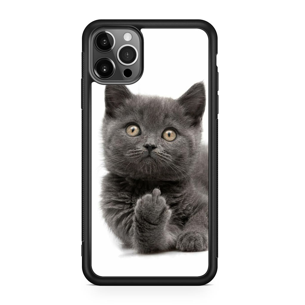 Finger British Shorthair Cat iPhone 12 Pro Case