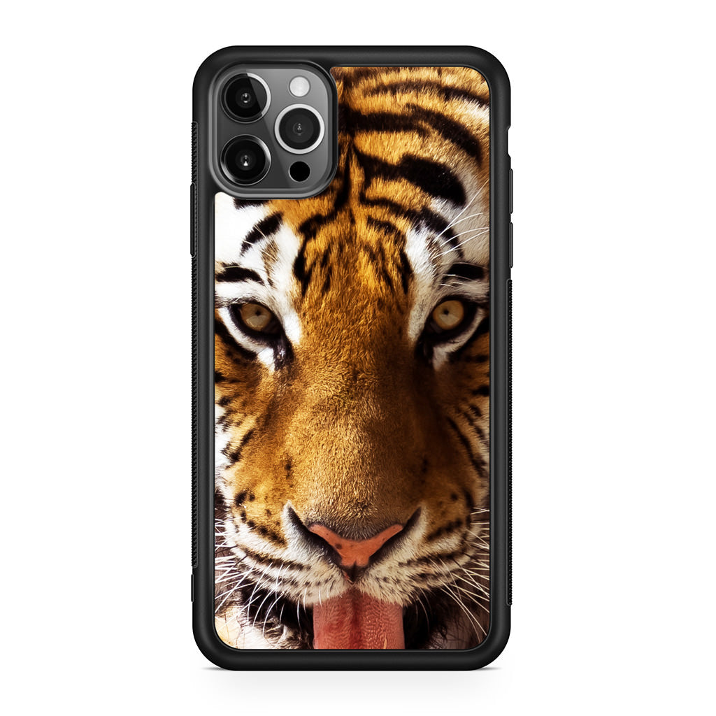 Tiger Eye iPhone 12 Pro Max Case