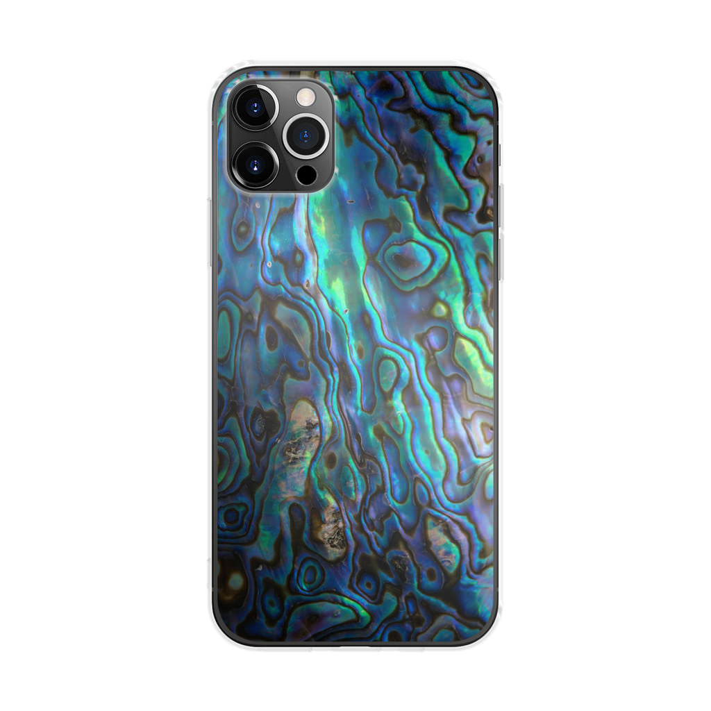 Abalone iPhone 12 Pro Case
