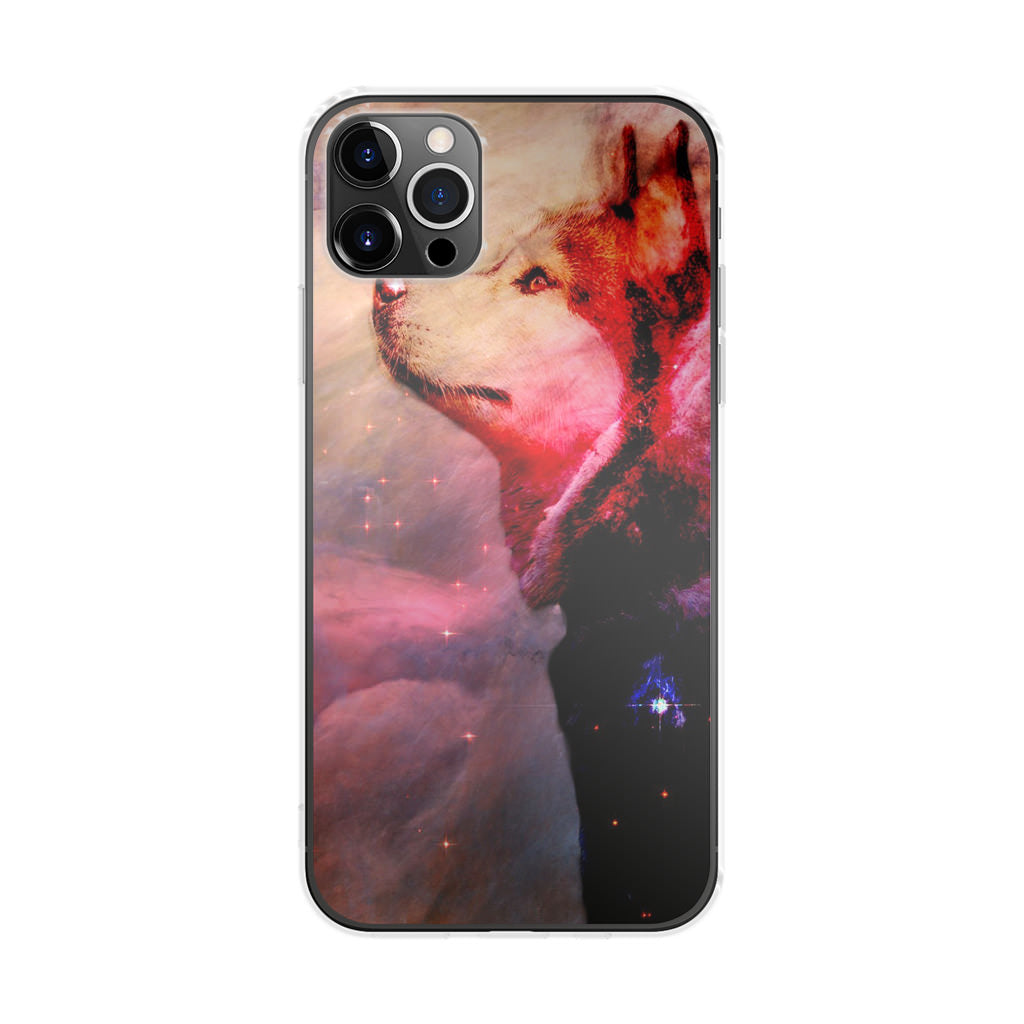 Dog Universe iPhone 12 Pro Case