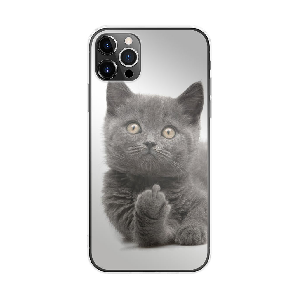 Finger British Shorthair Cat iPhone 12 Pro Case