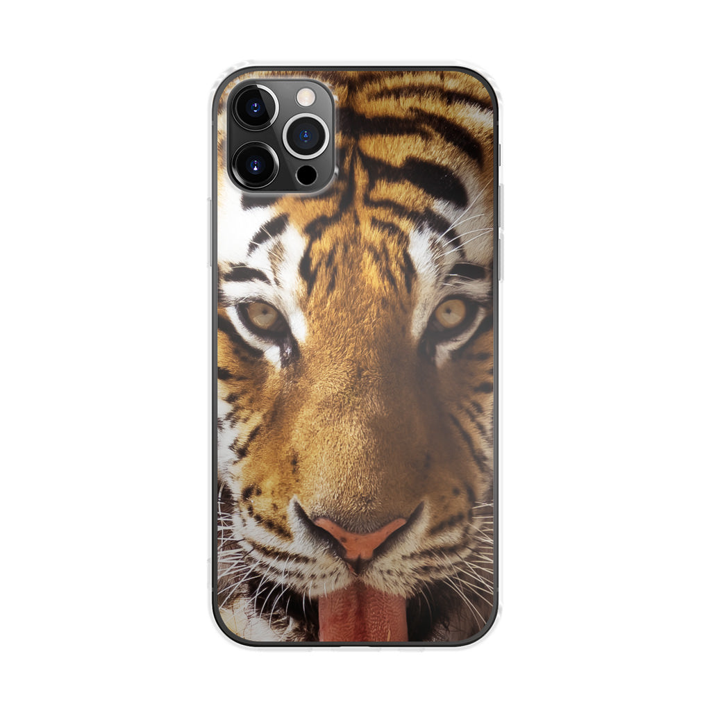 Tiger Eye iPhone 12 Pro Case