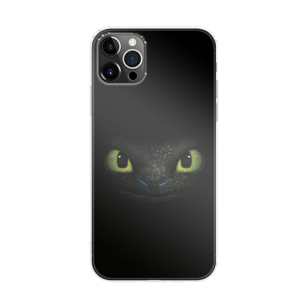 Toothless Dragon Sight iPhone 12 Pro Case