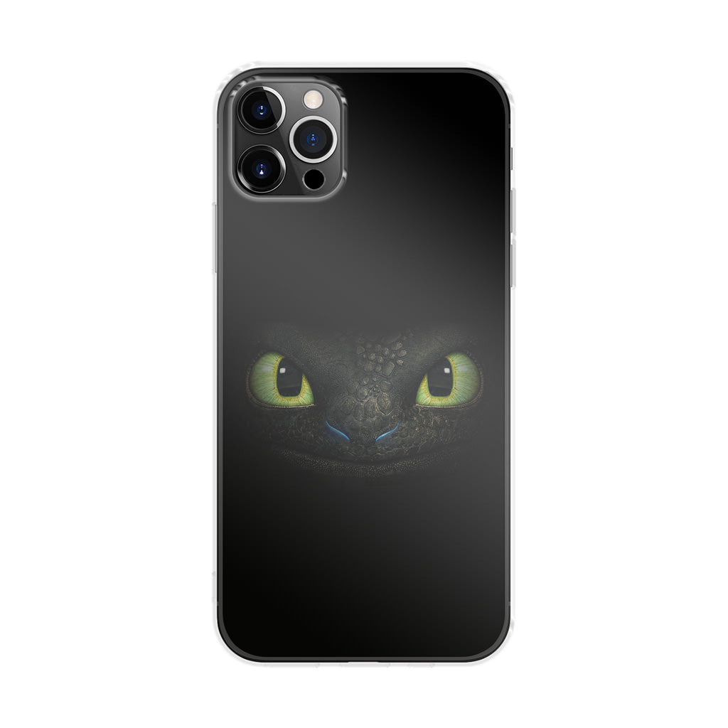 Toothless Dragon Sight iPhone 12 Pro Max Case