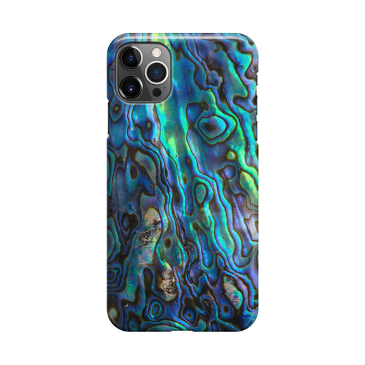 Abalone iPhone 12 Pro Case