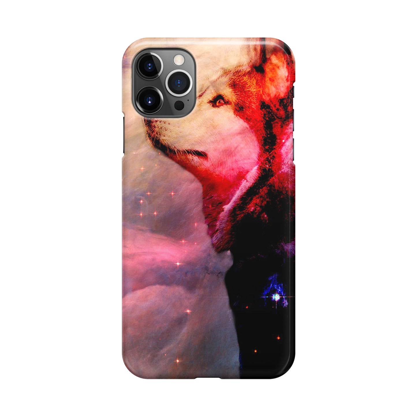 Dog Universe iPhone 12 Pro Case