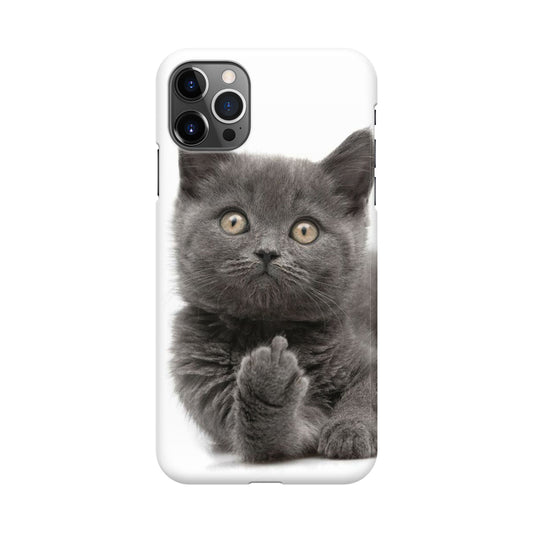 Finger British Shorthair Cat iPhone 12 Pro Case