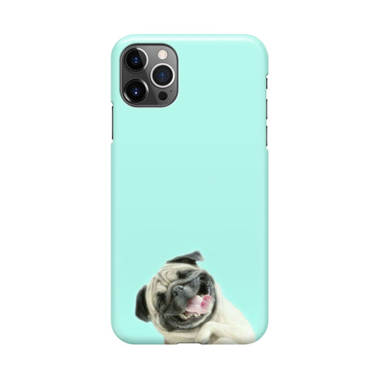 Laughing Pug iPhone 12 Pro Case