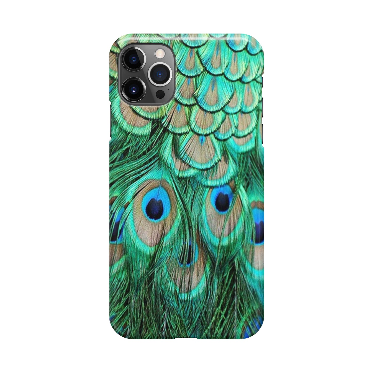 Peacock Feather iPhone 12 Pro Case