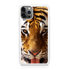 Tiger Eye iPhone 12 Pro Case