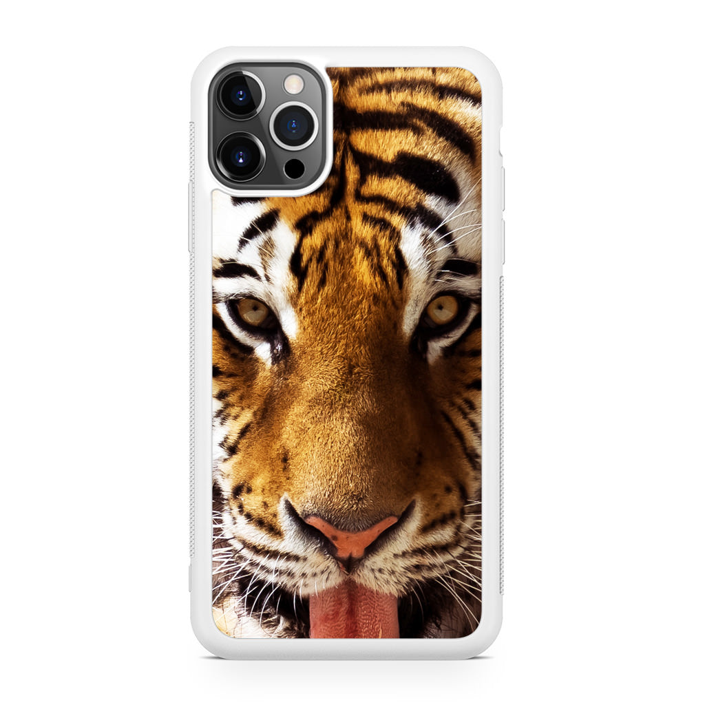 Tiger Eye iPhone 12 Pro Case