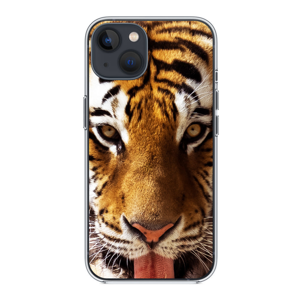 Tiger Eye iPhone 14 / 14 Plus Case