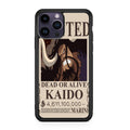 Kaido Bounty iPhone 14 Pro / 14 Pro Max Case
