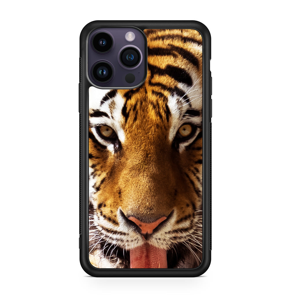 Tiger Eye iPhone 14 Pro / 14 Pro Max Case