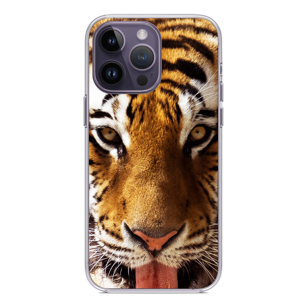 Tiger Eye iPhone 14 Pro / 14 Pro Max Case