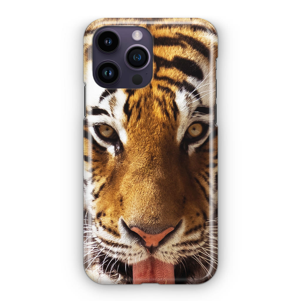 Tiger Eye iPhone 14 Pro / 14 Pro Max Case