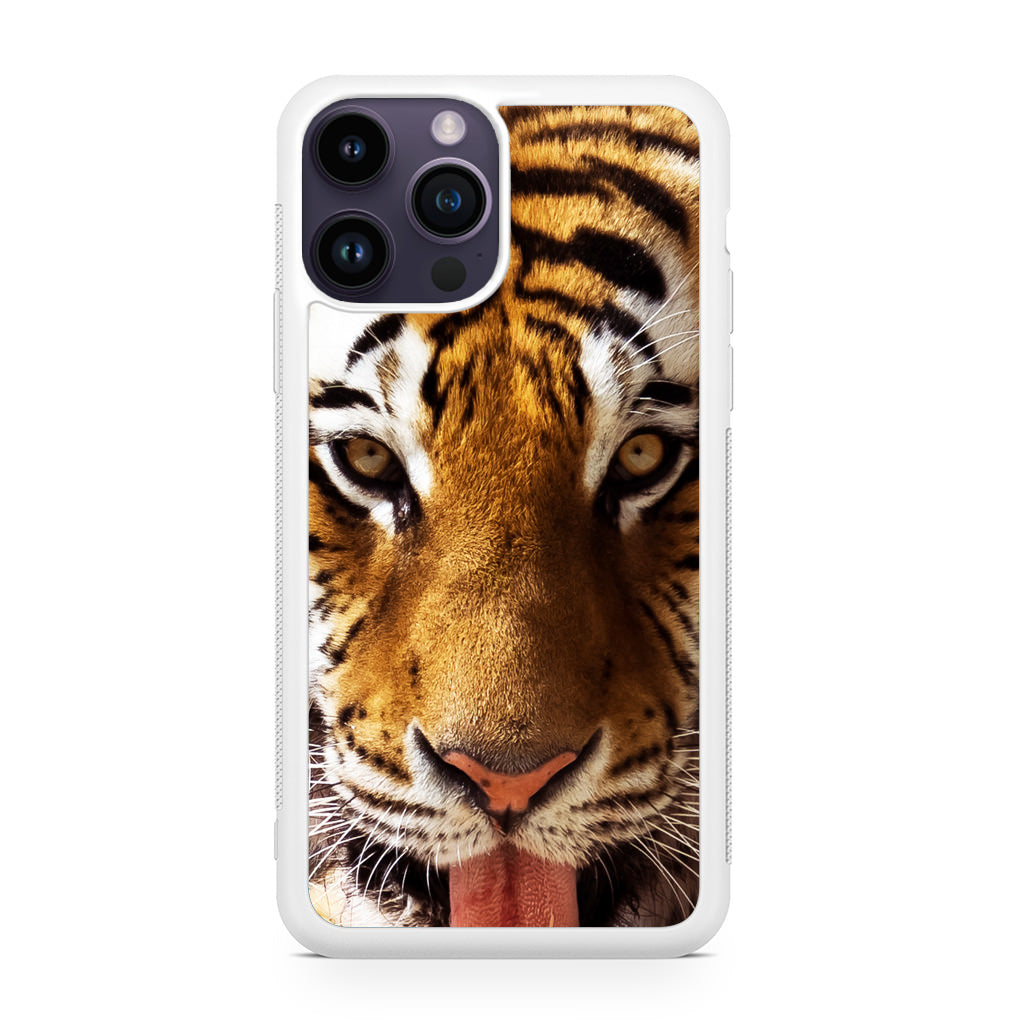 Tiger Eye iPhone 14 Pro / 14 Pro Max Case