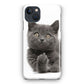 Finger British Shorthair Cat iPhone 14 / 14 Plus Case