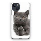 Finger British Shorthair Cat iPhone 15 / 15 Plus Case