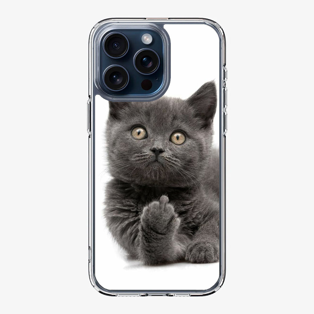 Finger British Shorthair Cat iPhone 15 Pro / 15 Pro Max Case