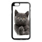 Finger British Shorthair Cat iPhone 6/6S Case