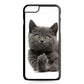 Finger British Shorthair Cat iPhone 6 / 6s Plus Case