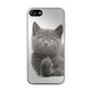 Finger British Shorthair Cat iPhone 7 Case