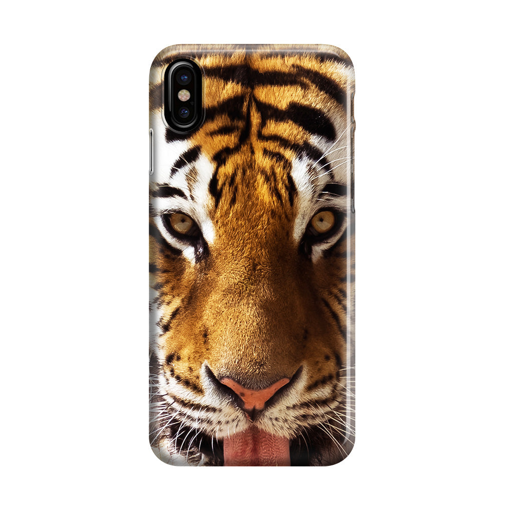 Tiger Eye iPhone X / XS / XS Max Case