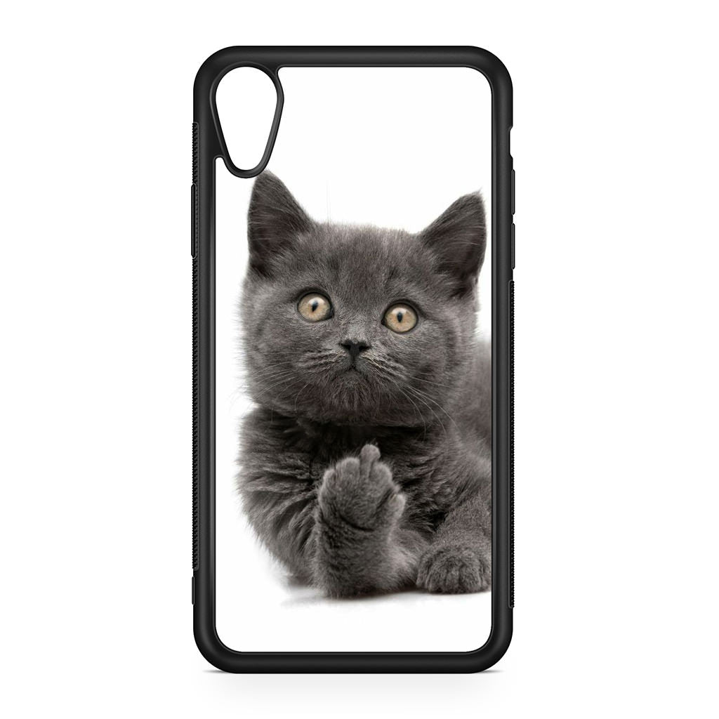 Finger British Shorthair Cat iPhone XR Case