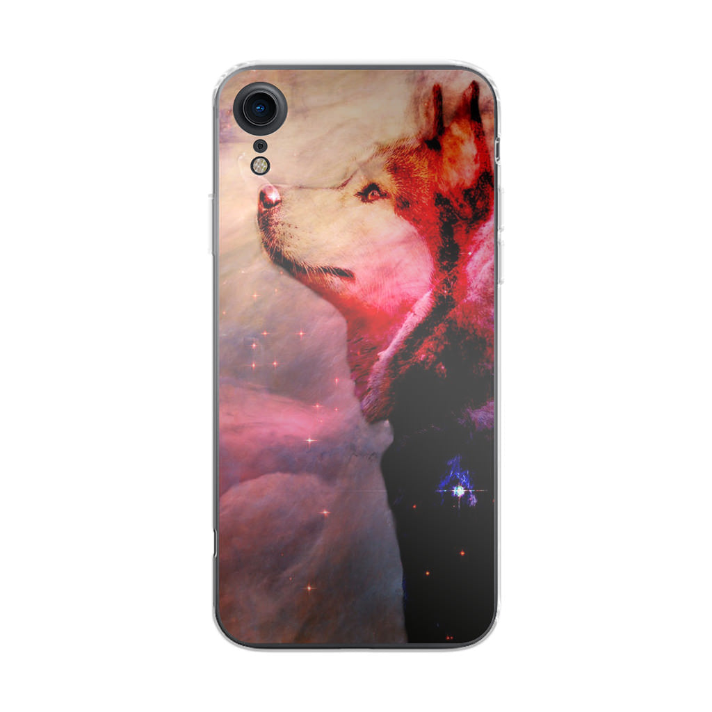 Dog Universe iPhone XR Case