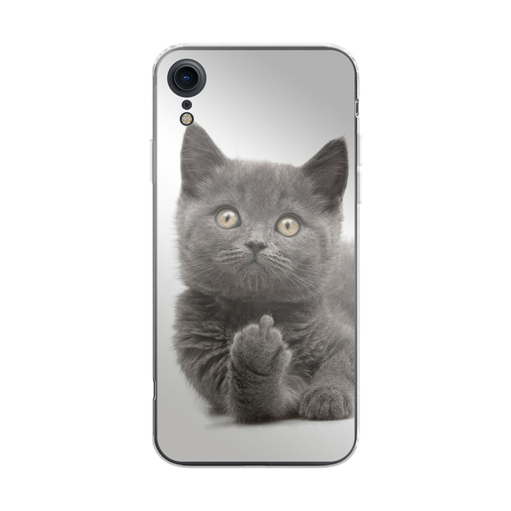 Finger British Shorthair Cat iPhone XR Case