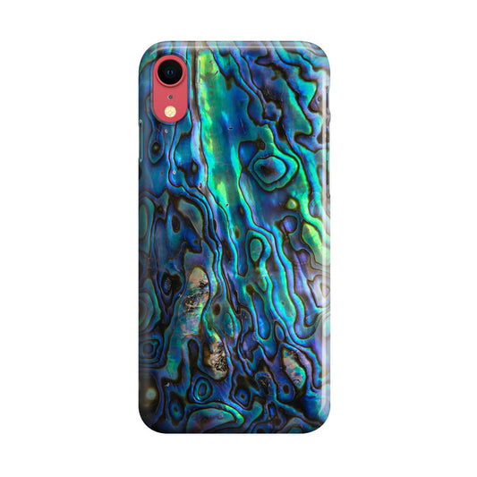Abalone iPhone XR Case