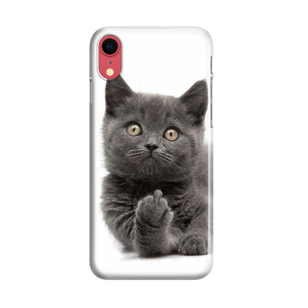 Finger British Shorthair Cat iPhone XR Case