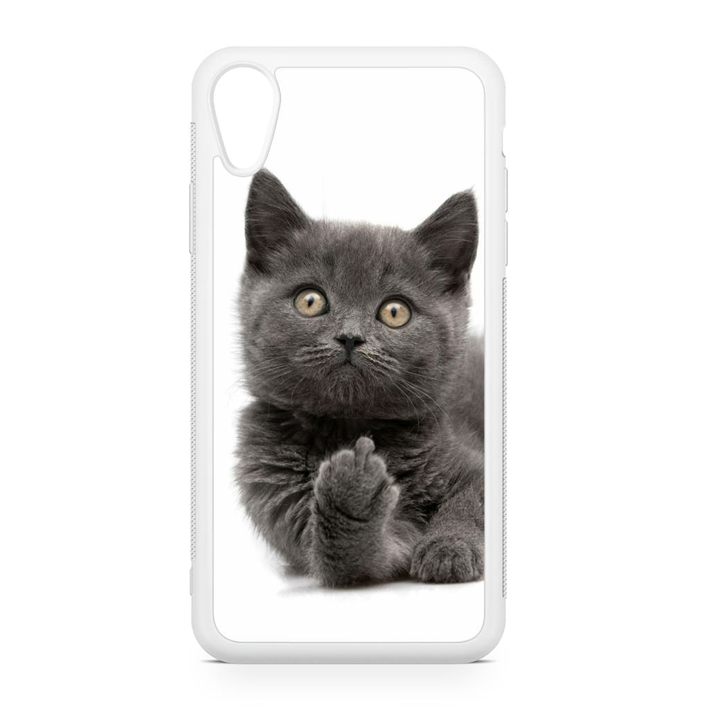 Finger British Shorthair Cat iPhone XR Case