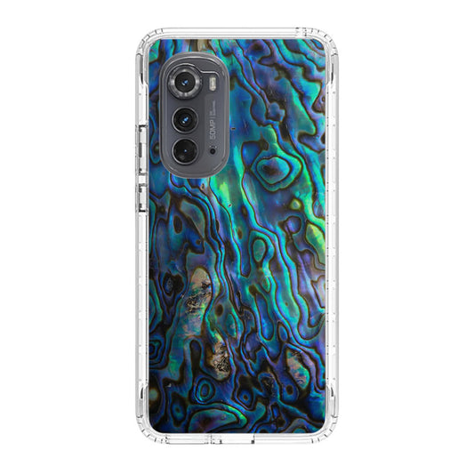 Abalone Motorola Edge 2022 Case