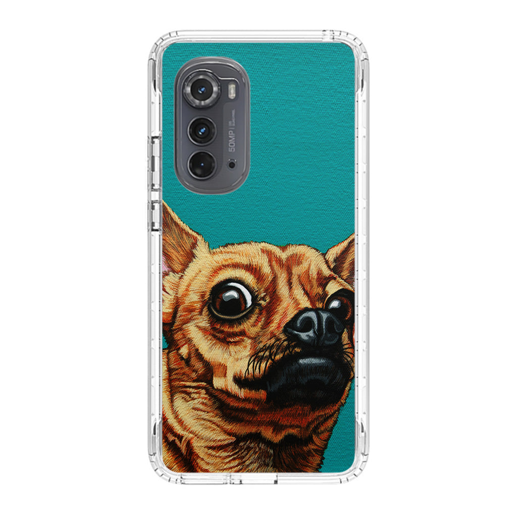 Chihuahua Art Motorola Edge 2022 Case