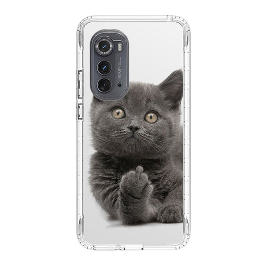 Finger British Shorthair Cat Motorola Edge 2022 Case