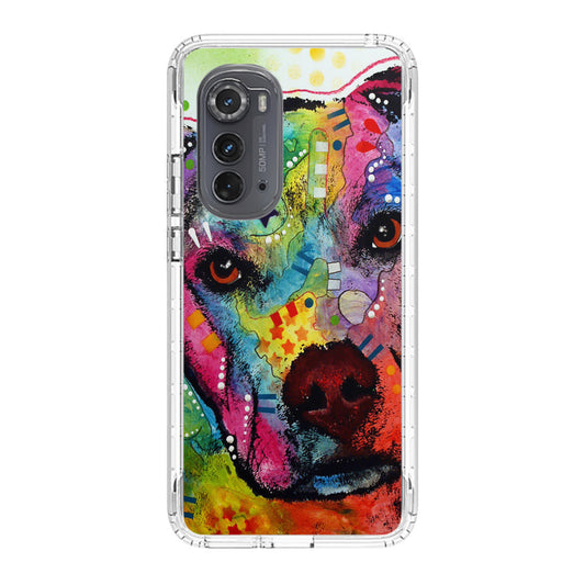 Pitbull Love Painting Motorola Edge 2022 Case