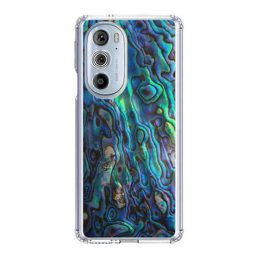 Abalone Motorola Edge Plus 2022 Case