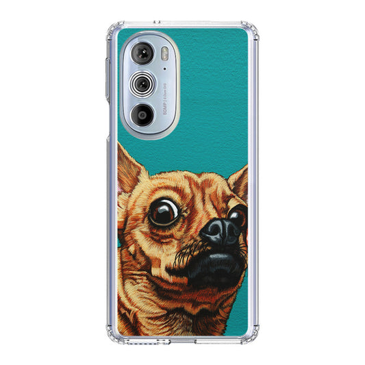 Chihuahua Art Motorola Edge Plus 2022 Case