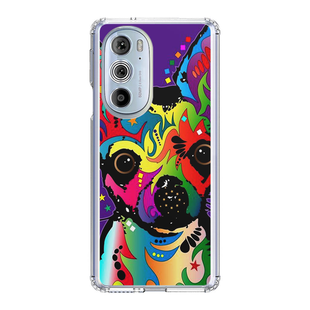 Colorful Chihuahua Motorola Edge Plus 2022 Case