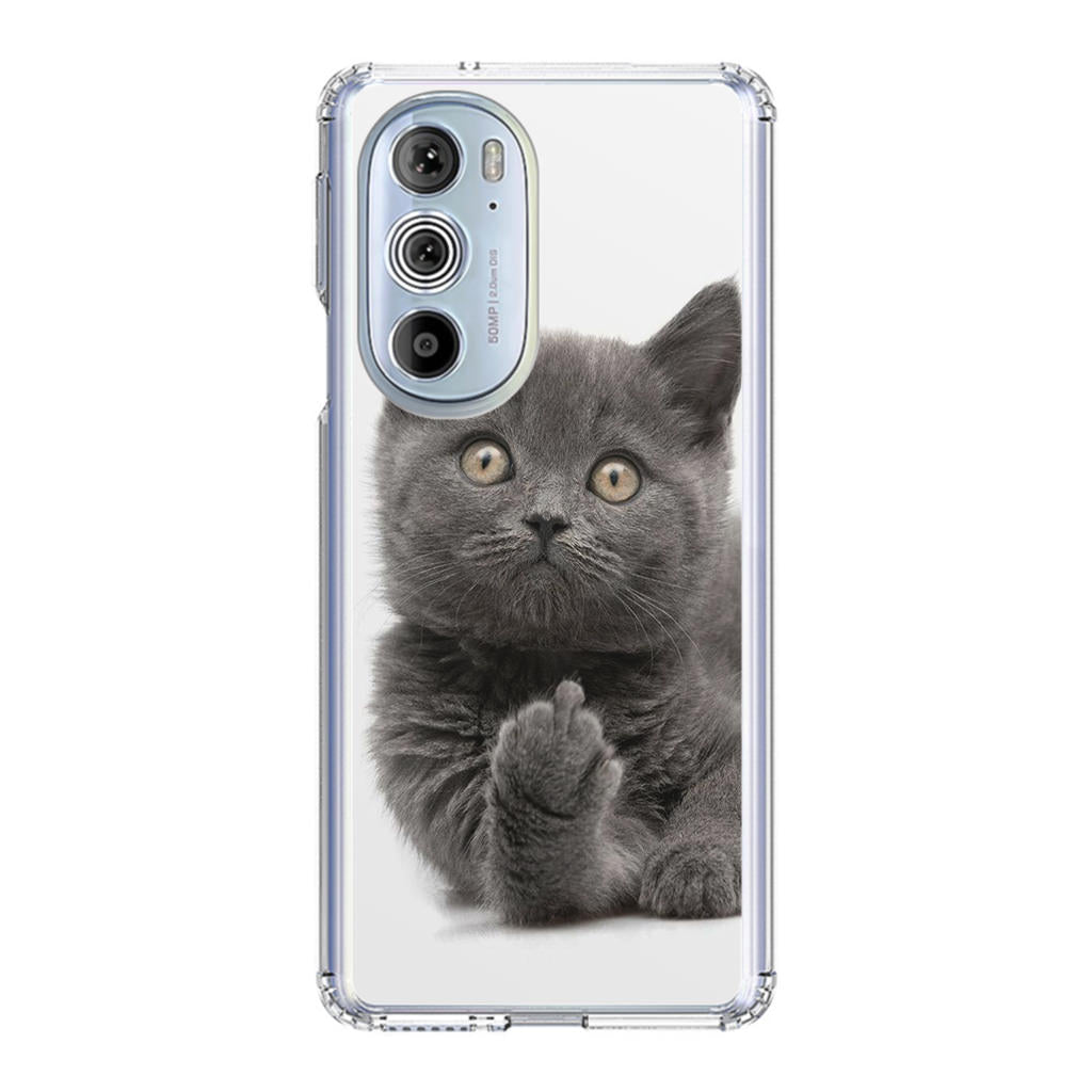 Finger British Shorthair Cat Motorola Edge Plus 2022 Case