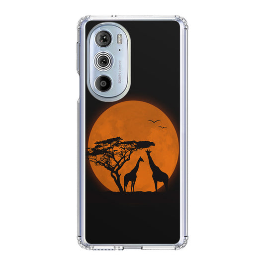 Giraffes Silhouette Motorola Edge Plus 2022 Case