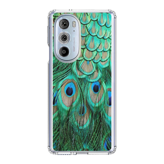 Peacock Feather Motorola Edge Plus 2022 Case