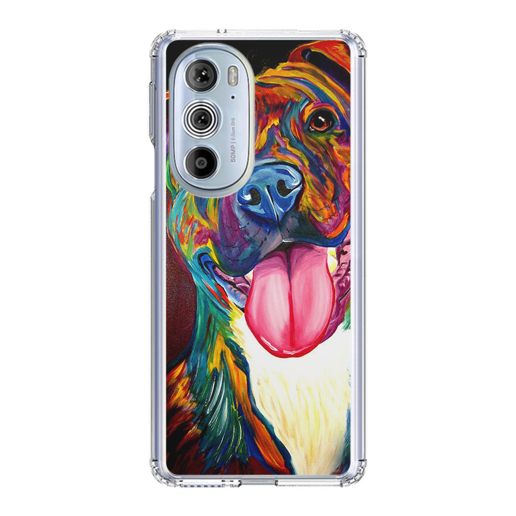 Pitbull Painting Art Motorola Edge Plus 2022 Case